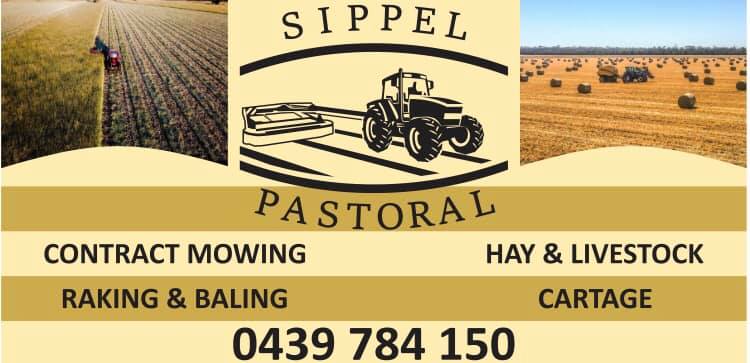 Sippel Pastoral