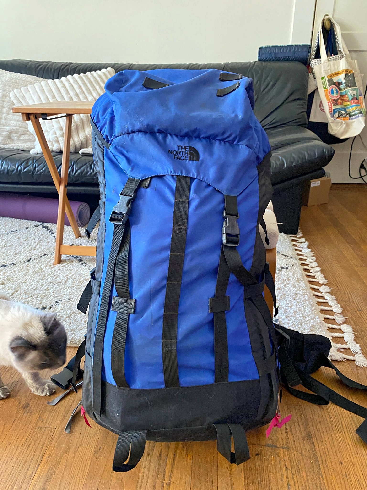 osprey backpack 7075 al Amazon.com : Sportlite 15L Lightweight Hiking for Men and Women, Alkaline/Hotspot Pink : Sports & Outdoors tenacity nylon and PFC Osprey Luna 60 Backpack -