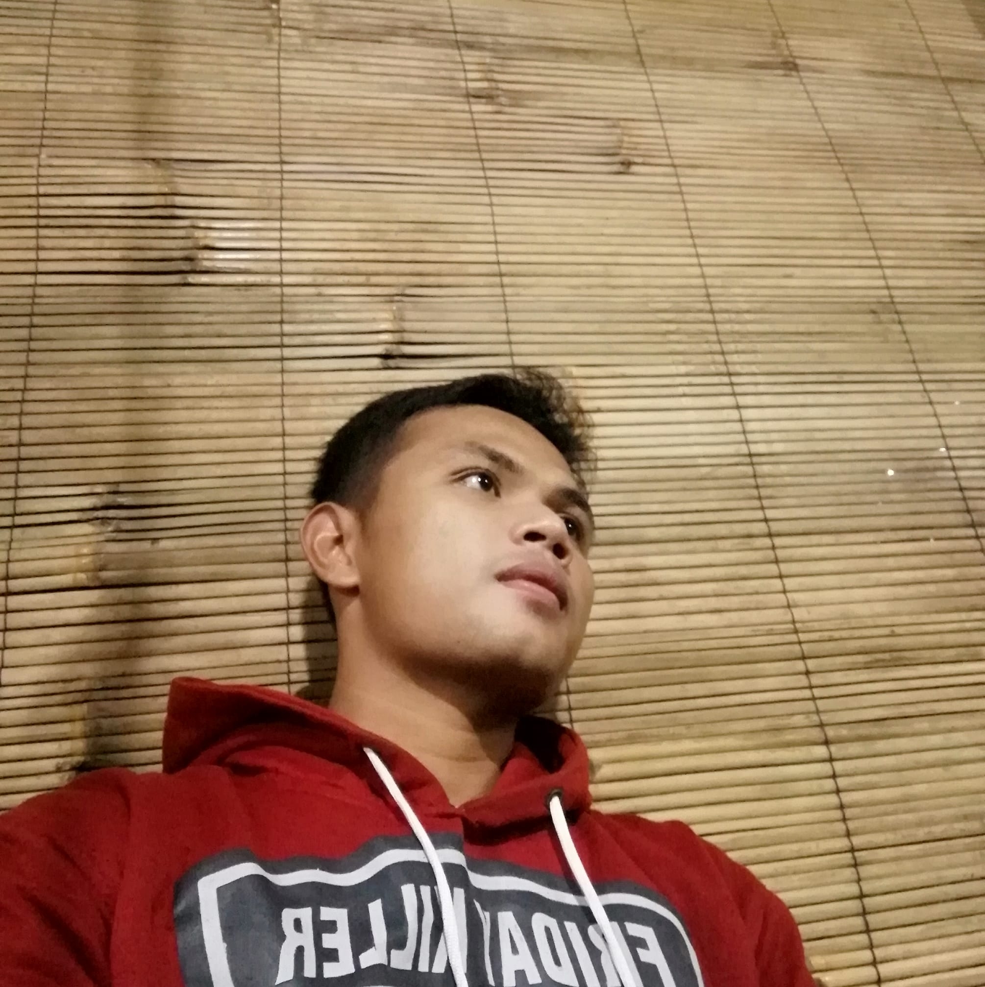 Hamlik Anggara