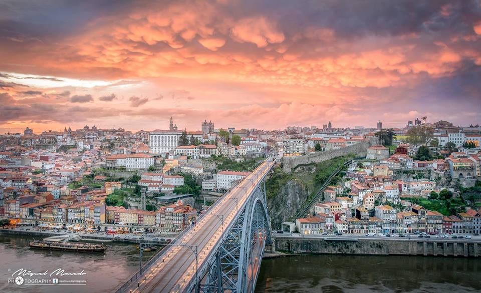 porto-pin