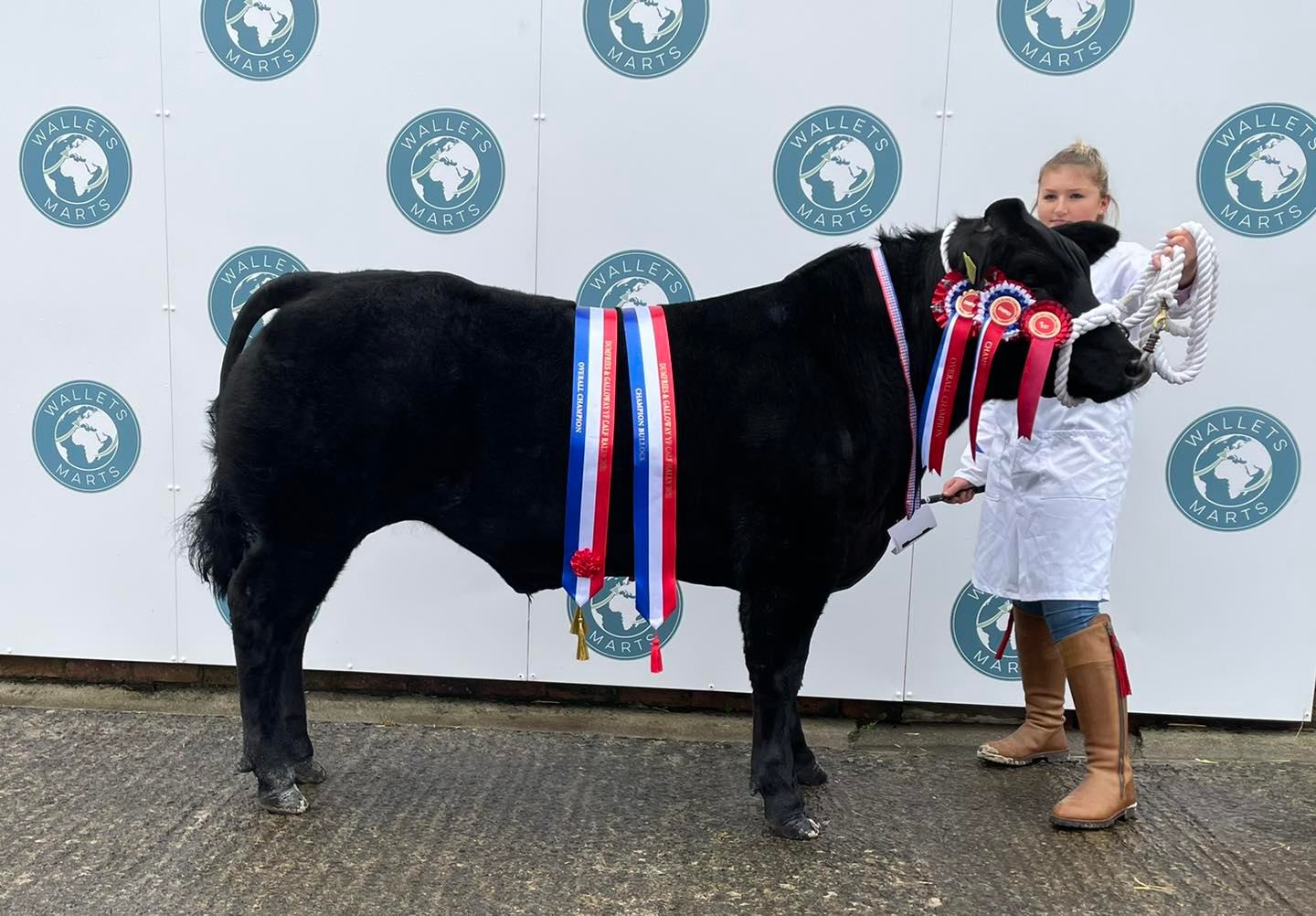 ⭐️ Well done to our two... - Thornhill Young Farmers Club