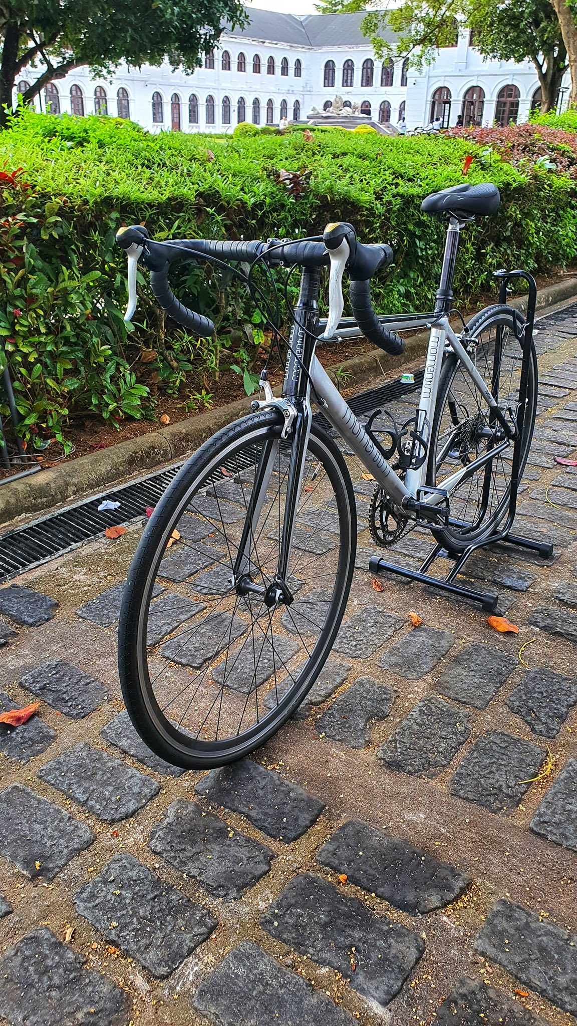 Momentum iwant road bike for sale