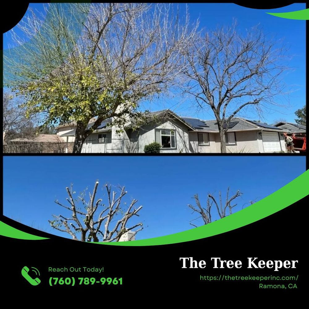The Treekeeper - The Treekeeper added a new photo.