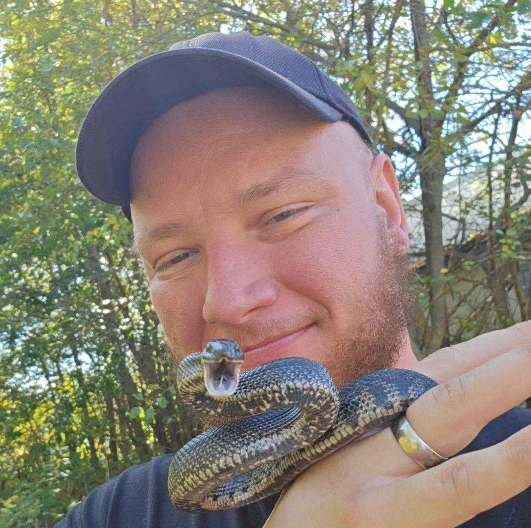 Arizona Snake Identification and Questions | Facebook
