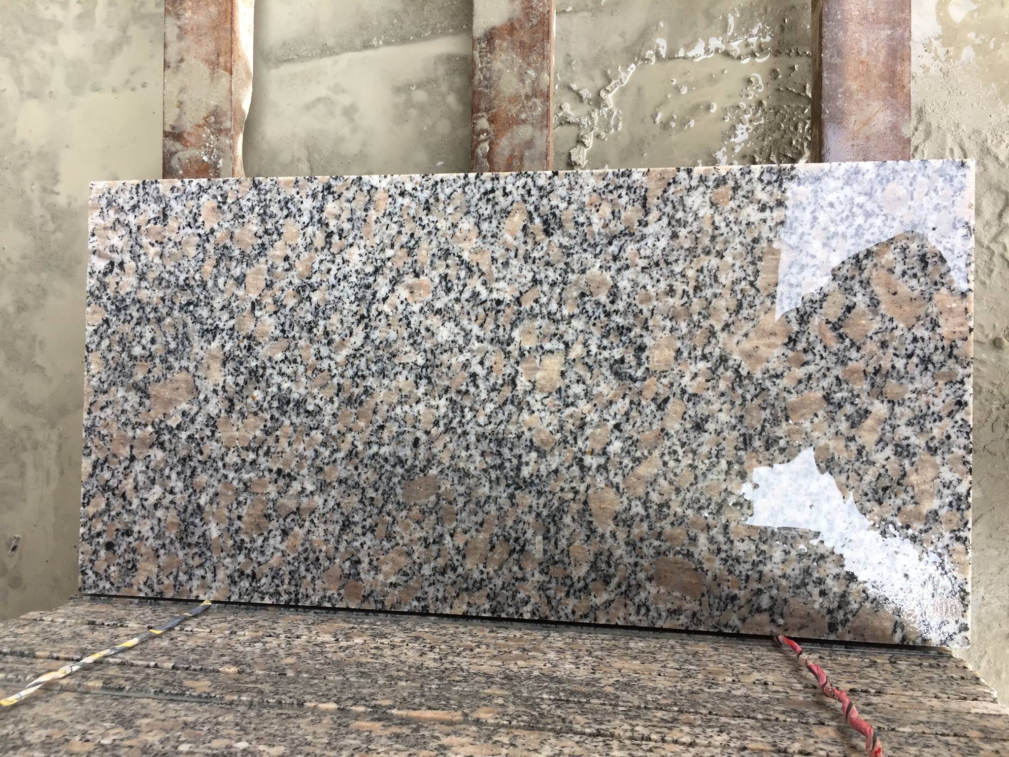 Xiamen RSC Stone Co, Ltd | Xiamen