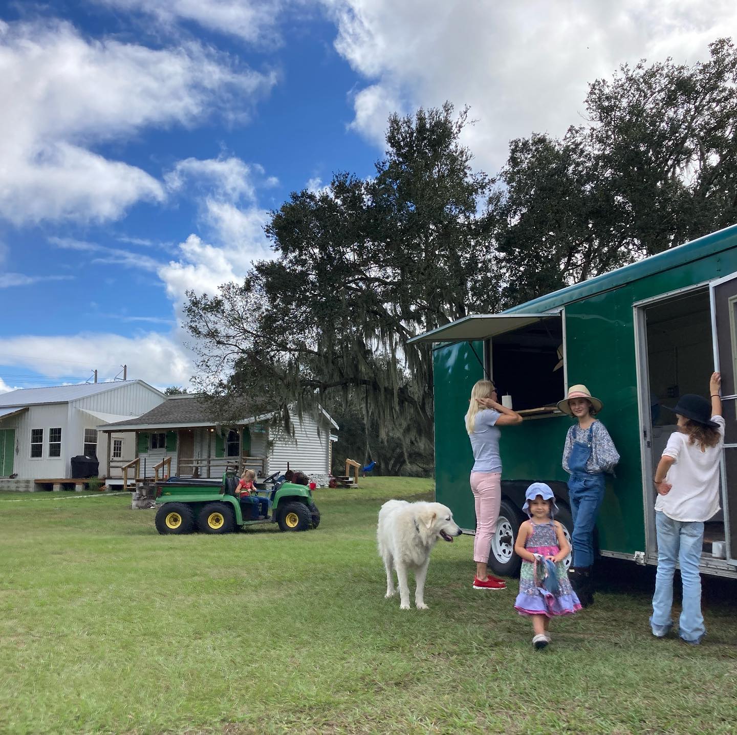 It was so nice to have customers come... - Grove Ladder Farm | Facebook
