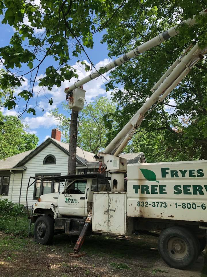 Frye's Tree Service | Webster City IA