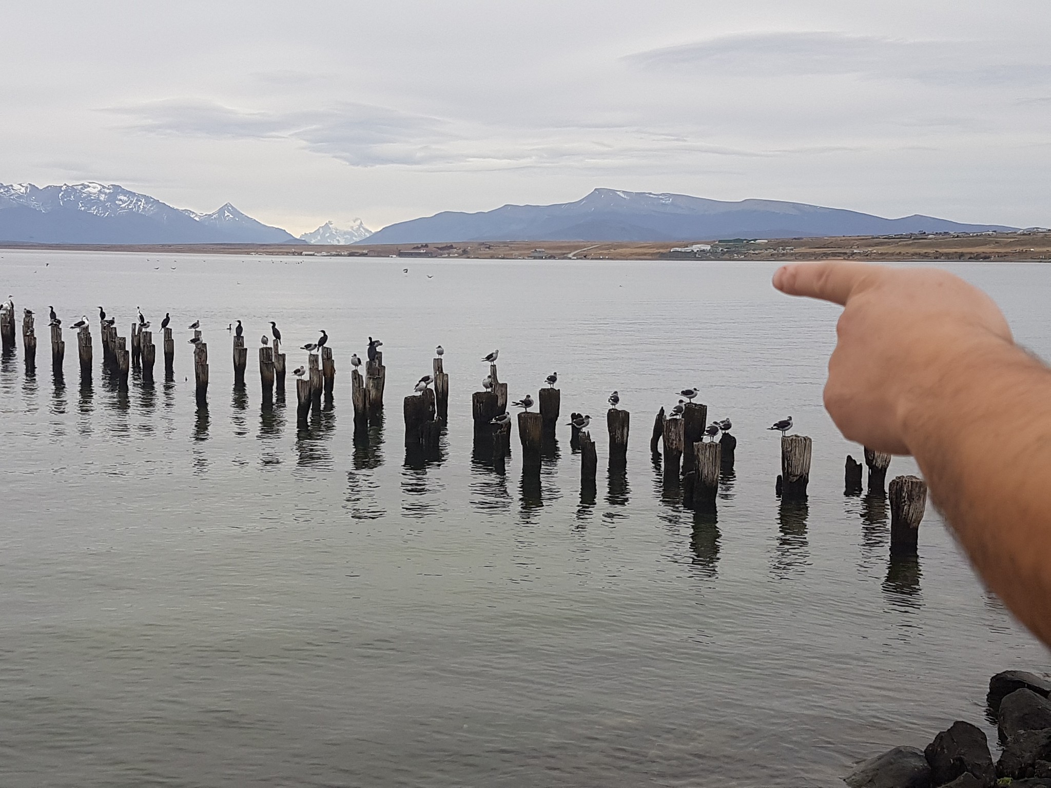 La tranquilidad y la... - Kaluve Patagonia Hostal Tour
