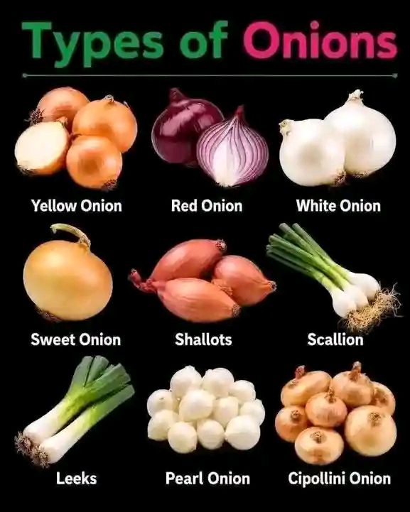 There are 5 types of Onions! 🙋‍♀️if you got the answer! Check