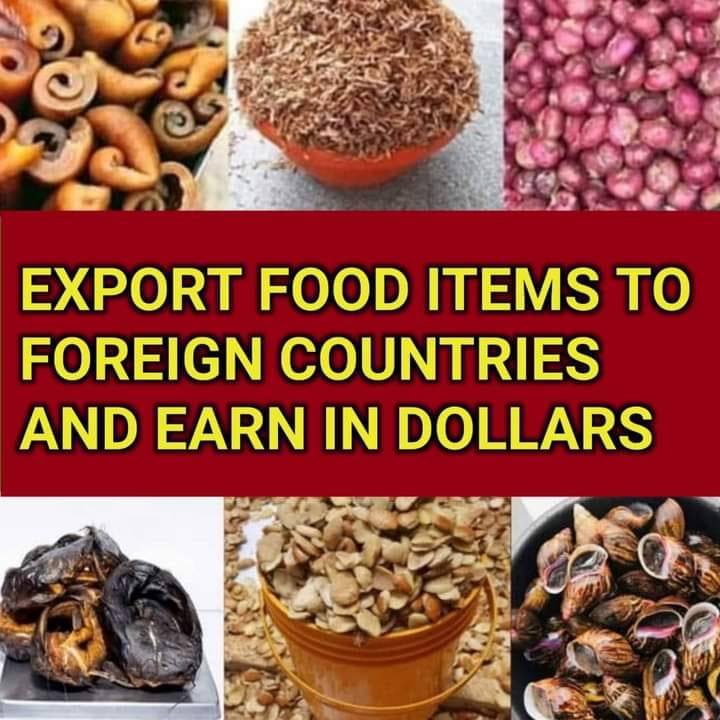 Ready to Start a Profitable Export Business from Nigeria? Thousands of ...