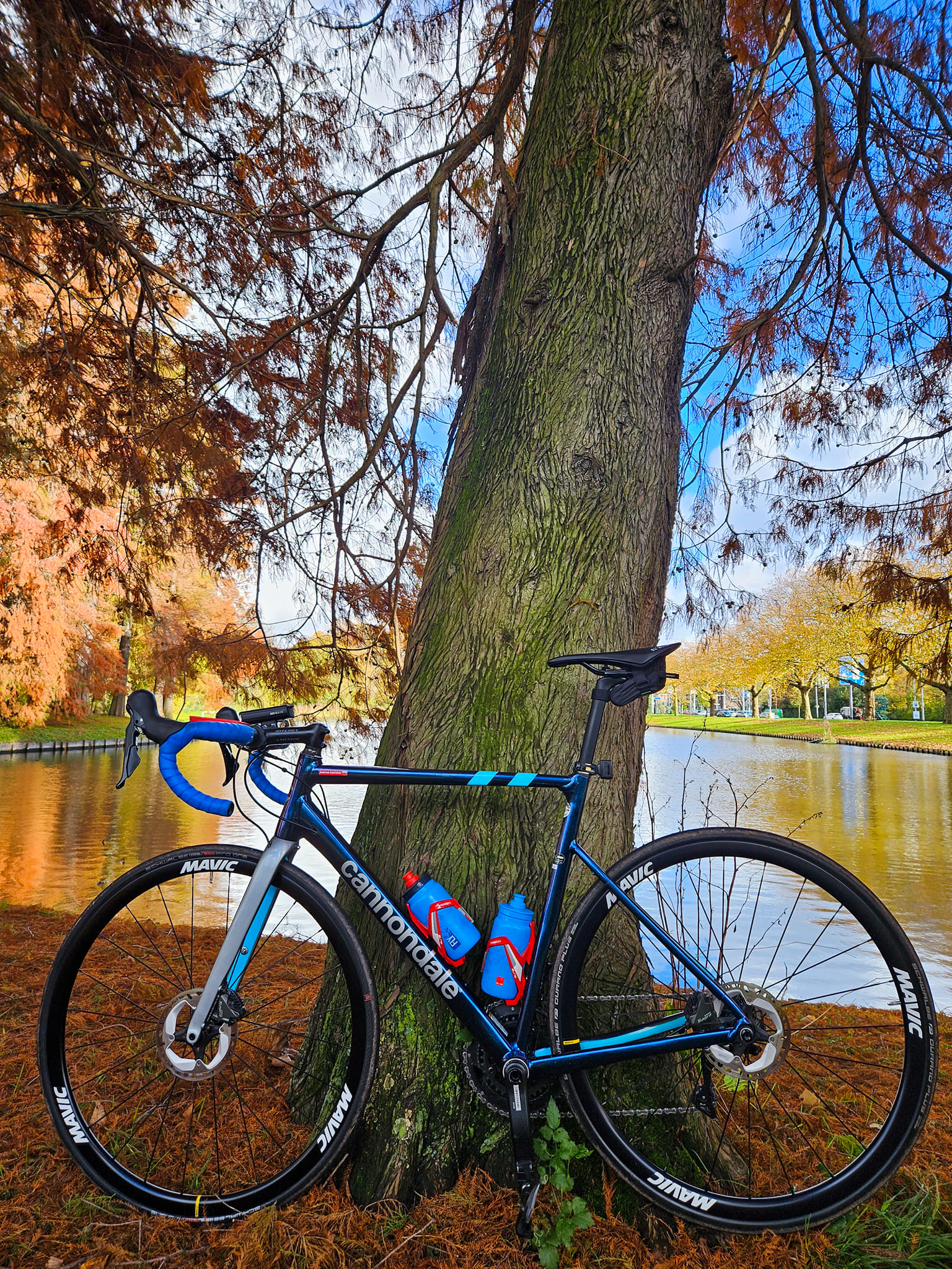 My carbon killer Cannondale Caad 13. Size 56