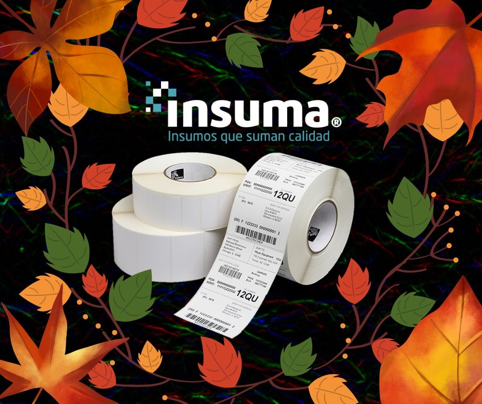 Insuma