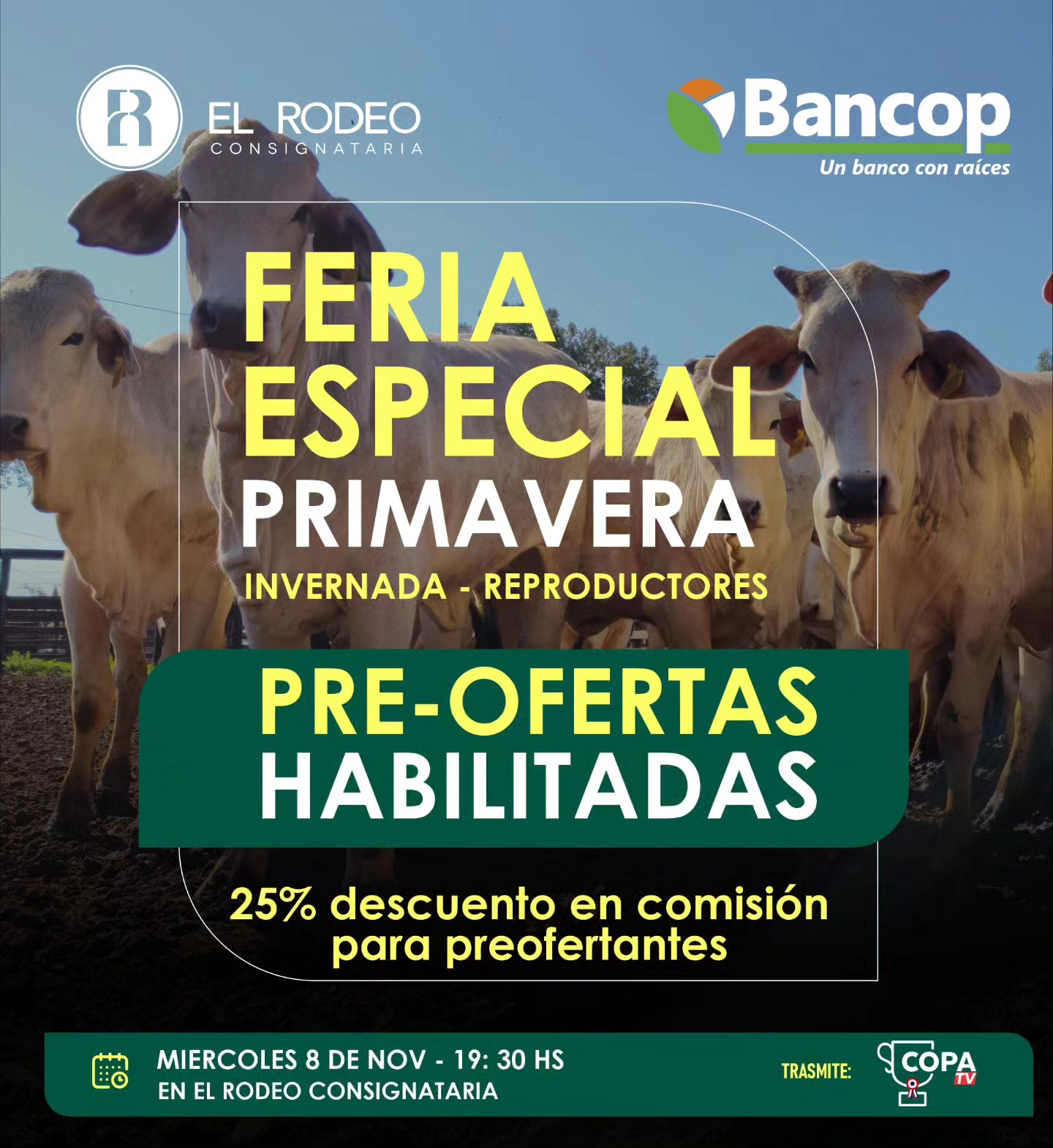 El Rodeo Consignataria | Asunción