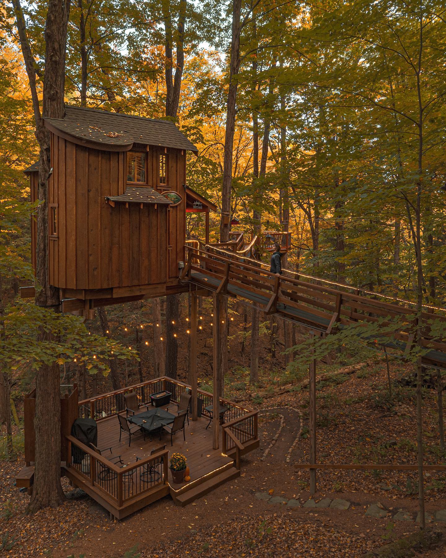 NEW UPDATE! (Again). This... - The Chez Tree Rest Treehouse