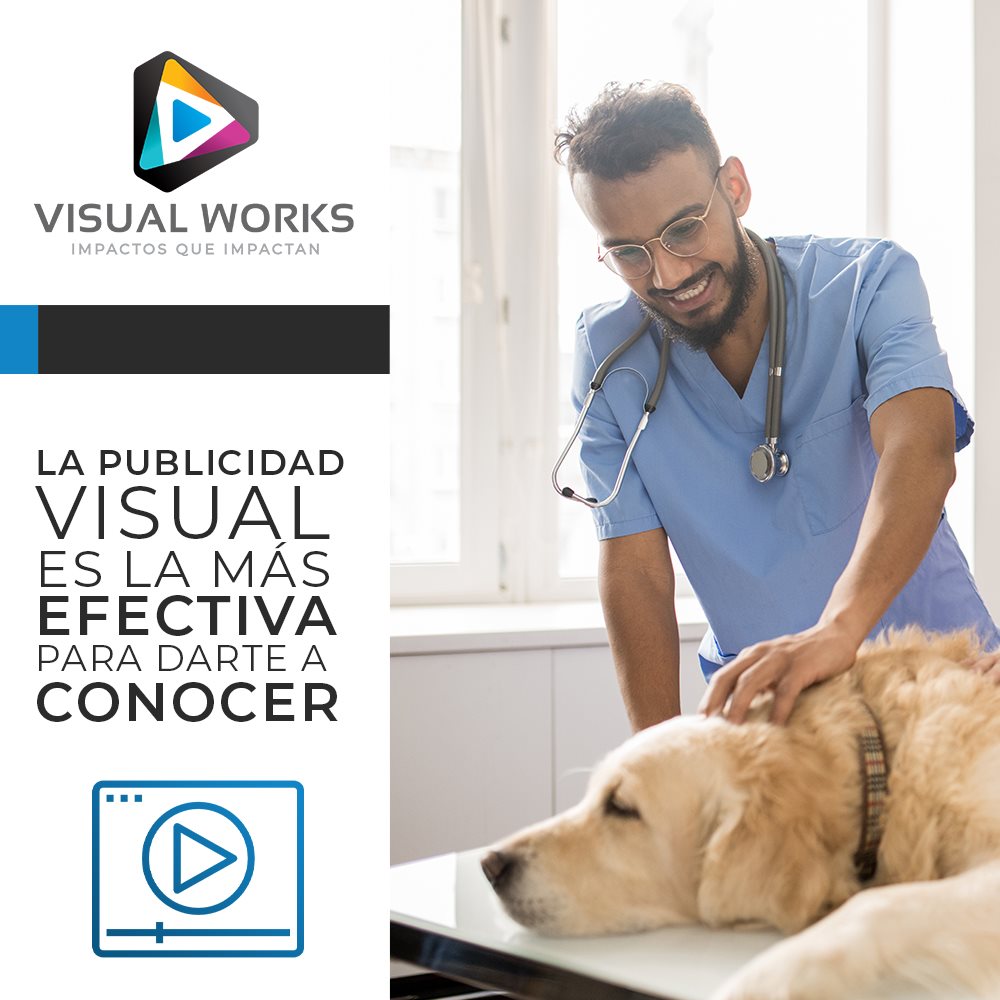 Visual Works