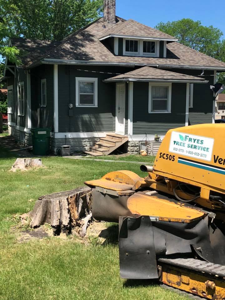 Frye's Tree Service | Webster City IA