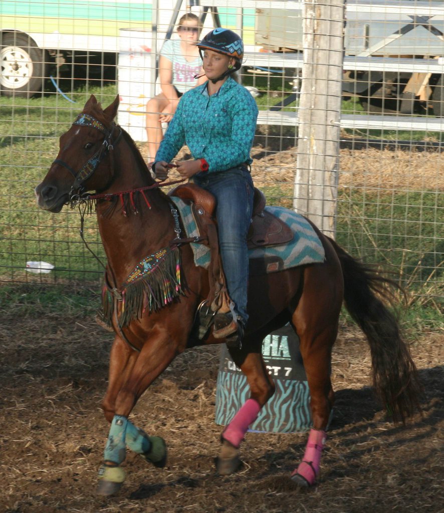 Gayndah Show Society | Gayndah QLD