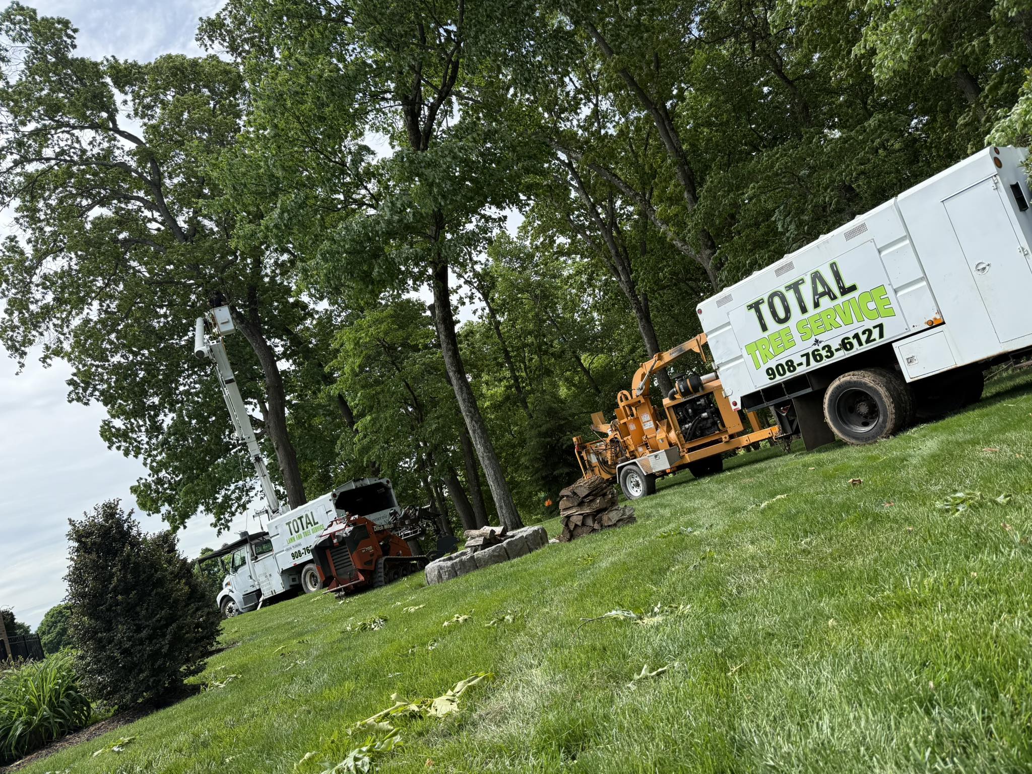 Total Lawn & Tree Service