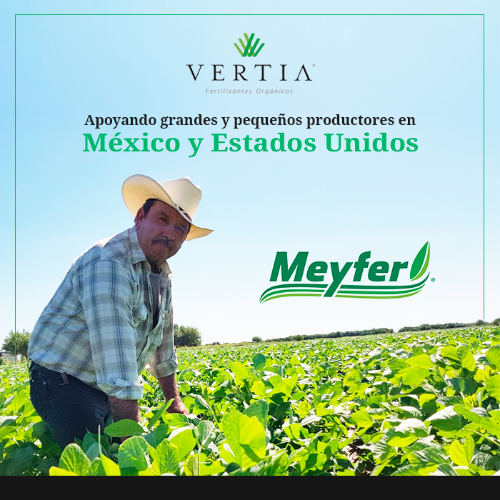 Vertia y Meyfer son... - Vertia 