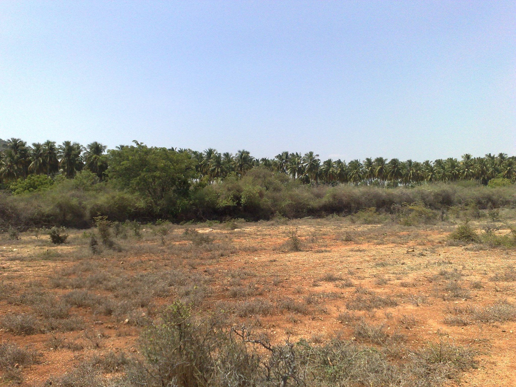 Developed and undeveloped plots for sale in Botswana