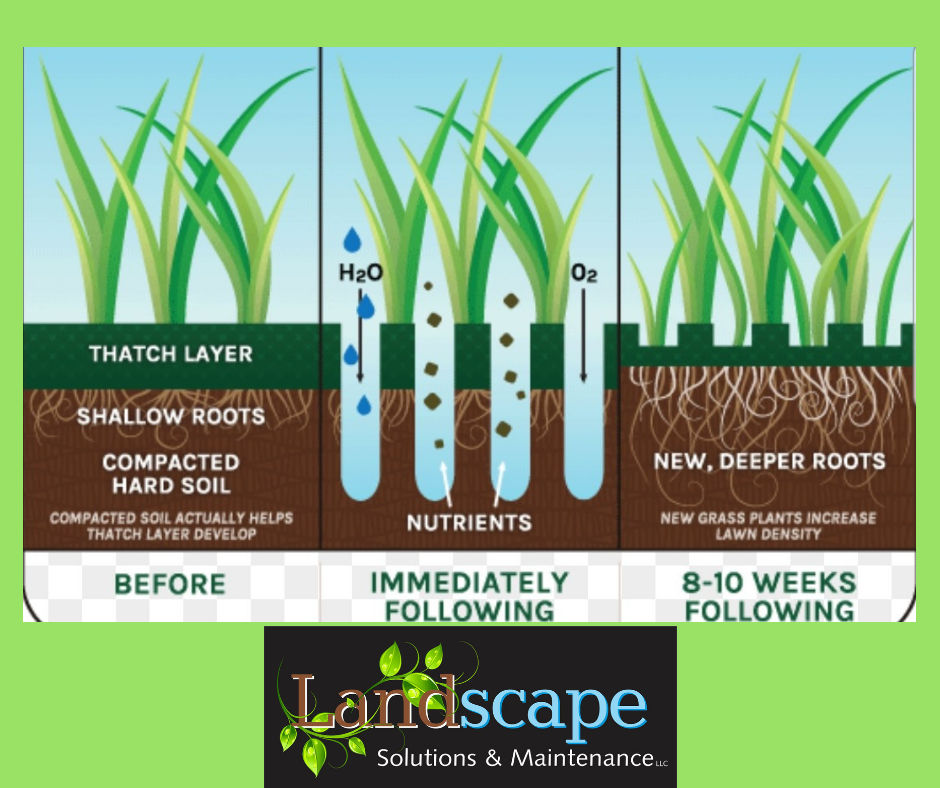 Core aeration...we... - Landscape Solutions & Maintenance