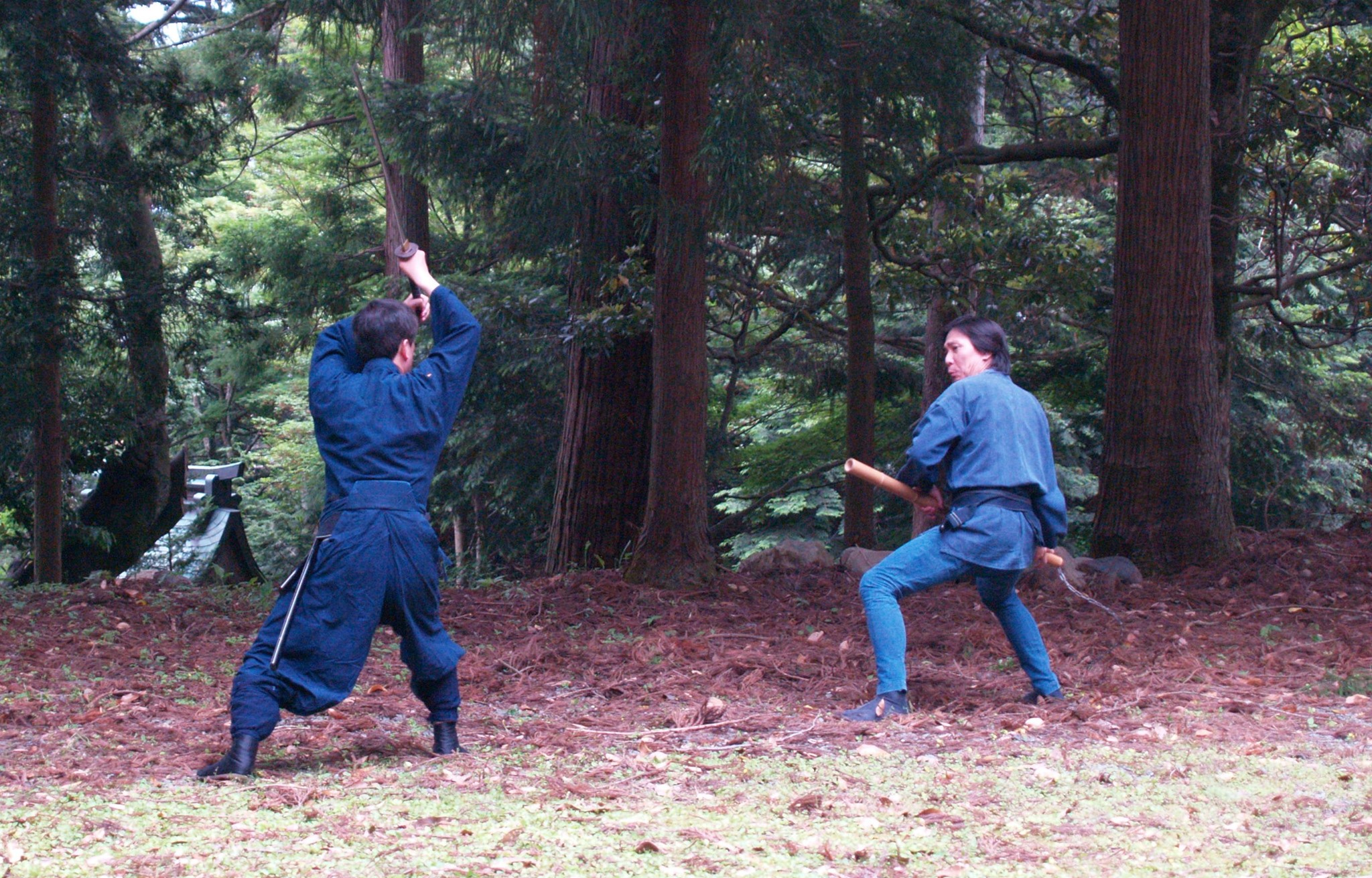 四季の森忍術道場 - 四季の森忍術道場 added a new photo.