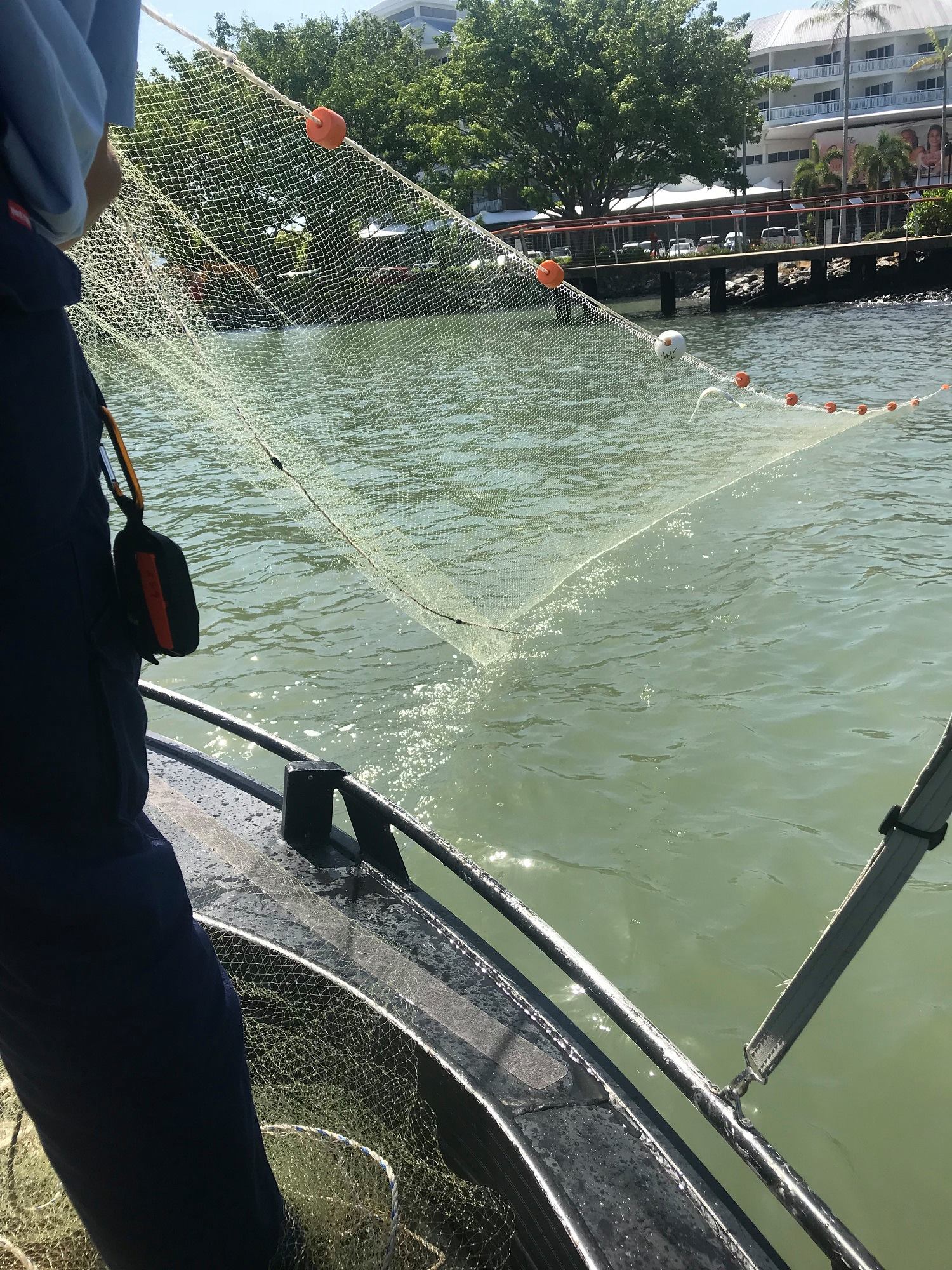 drag net fishing qld Deluxe Prawn Net: FREE SHIPPING  Haverford Drag net of fish hi-res