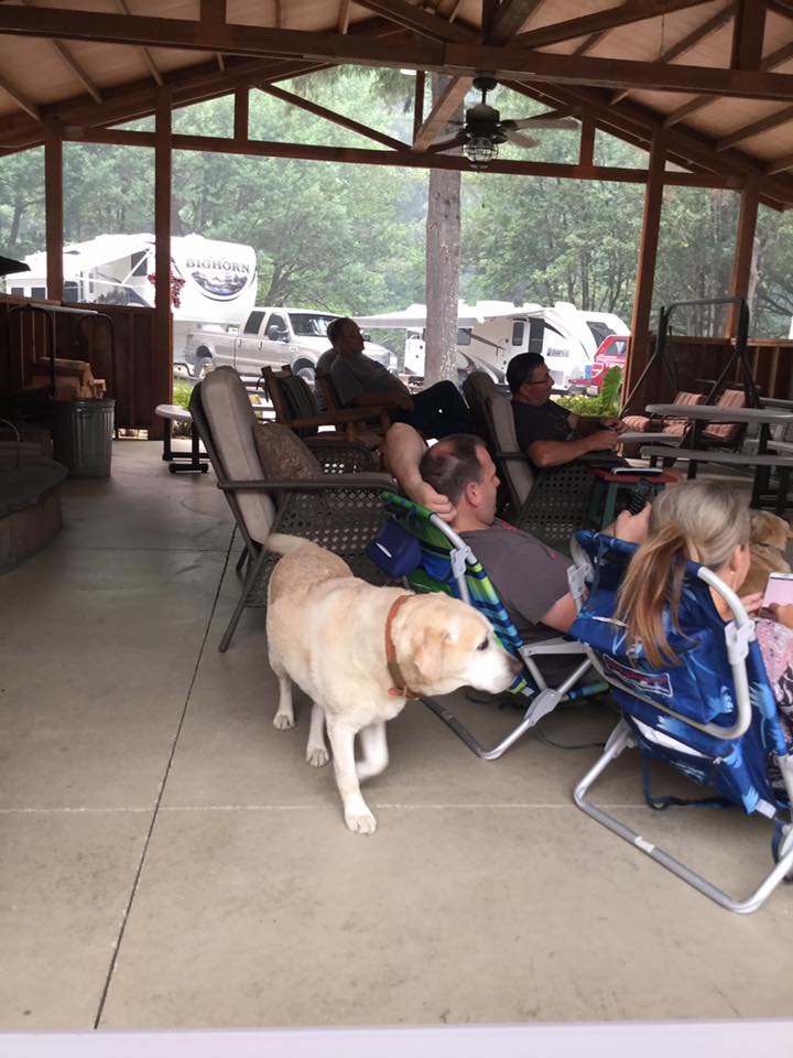 A few of our guest.... - Remote Outpost Rv Park and Cabins | Facebook