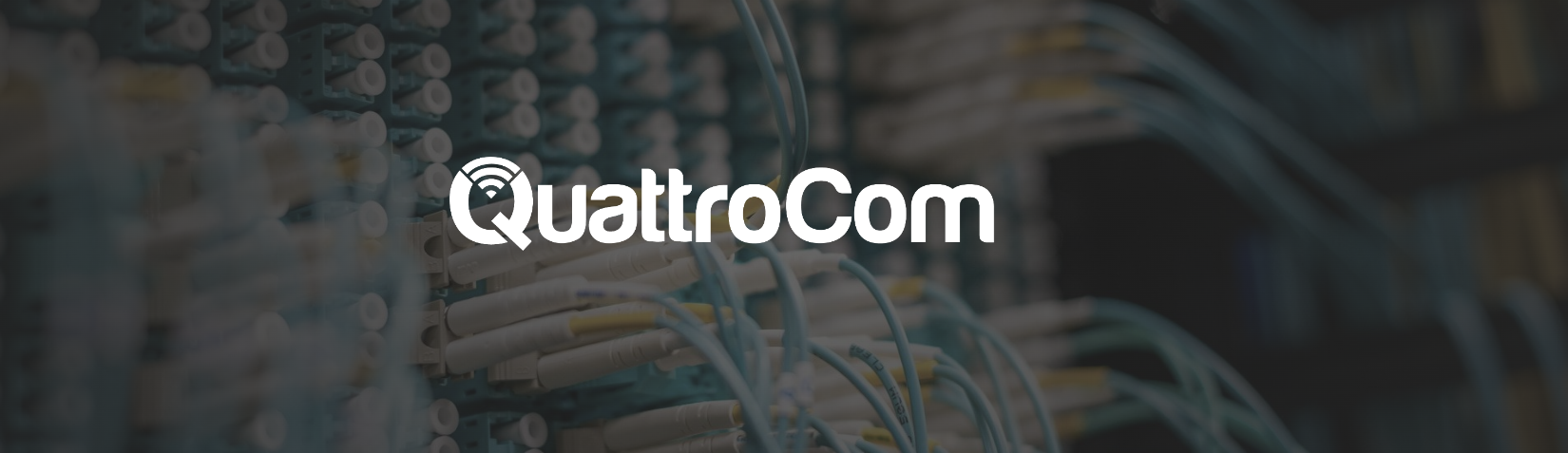 Quattrocom | Querétaro