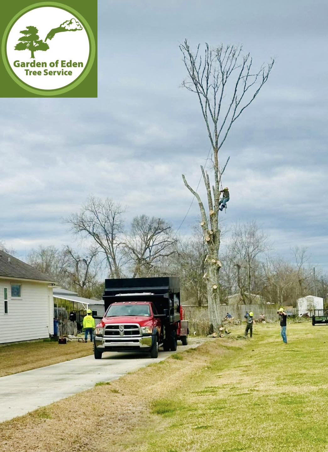 Garden Of Eden Tree Service