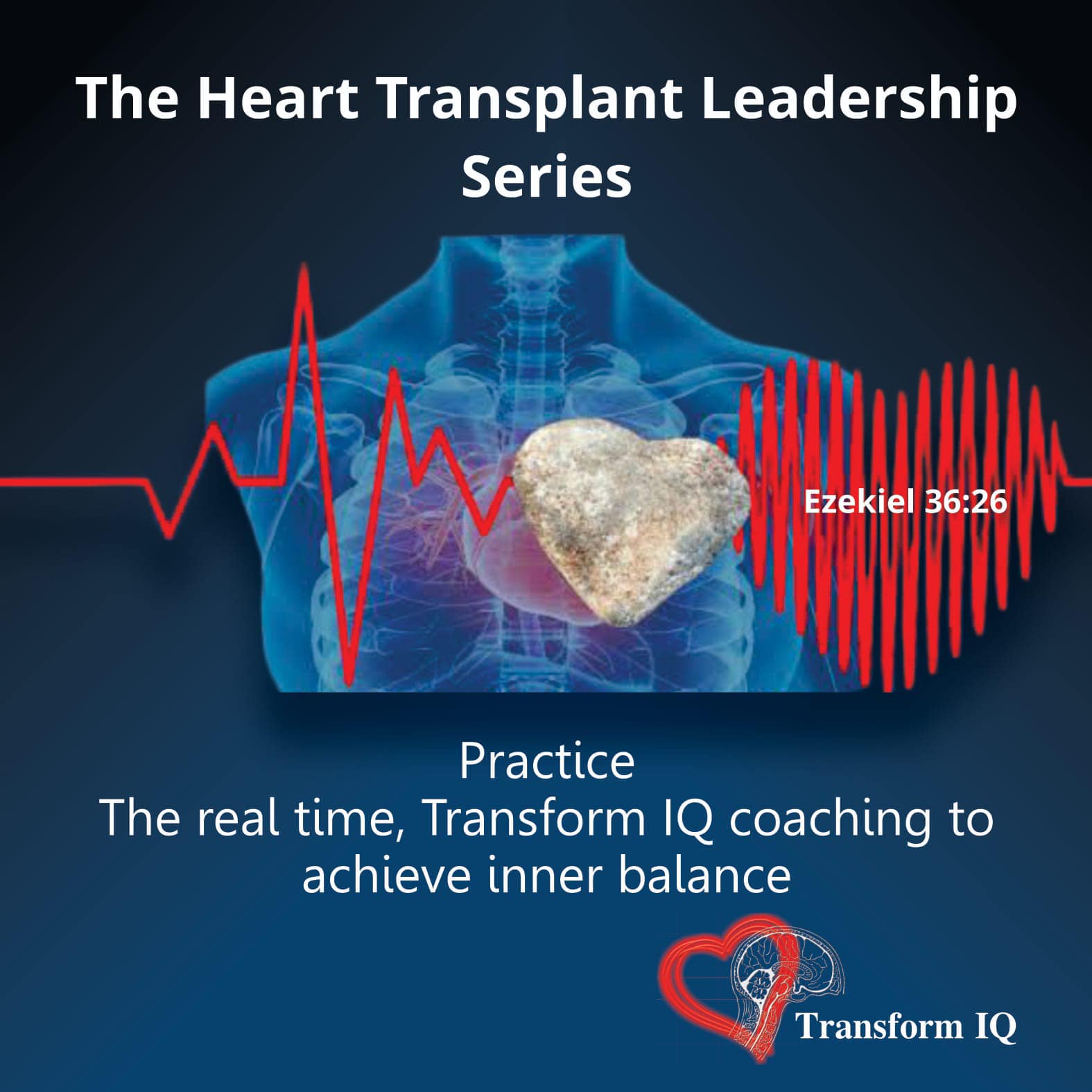 Transform IQ | Pretoria