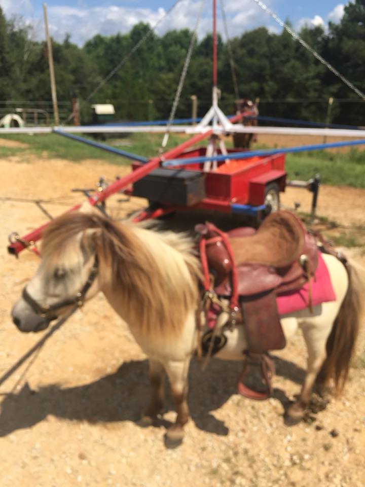 Gee-Haw Pony Rides