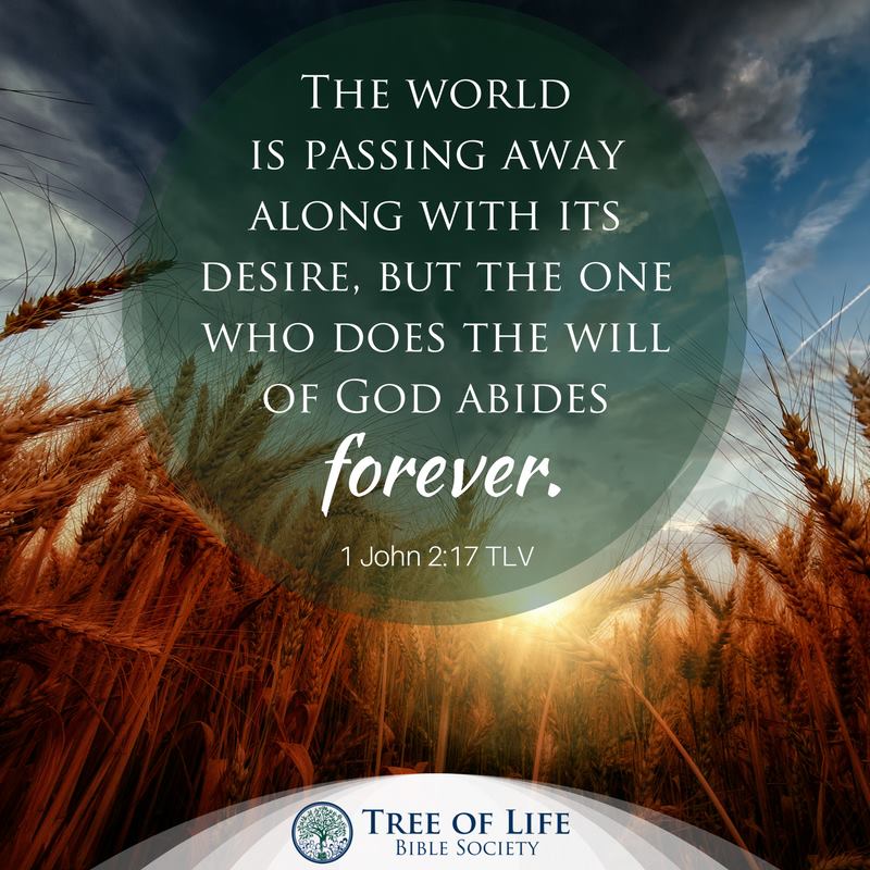 Tree of Life Version - TLV - The world is passing away along with its ...