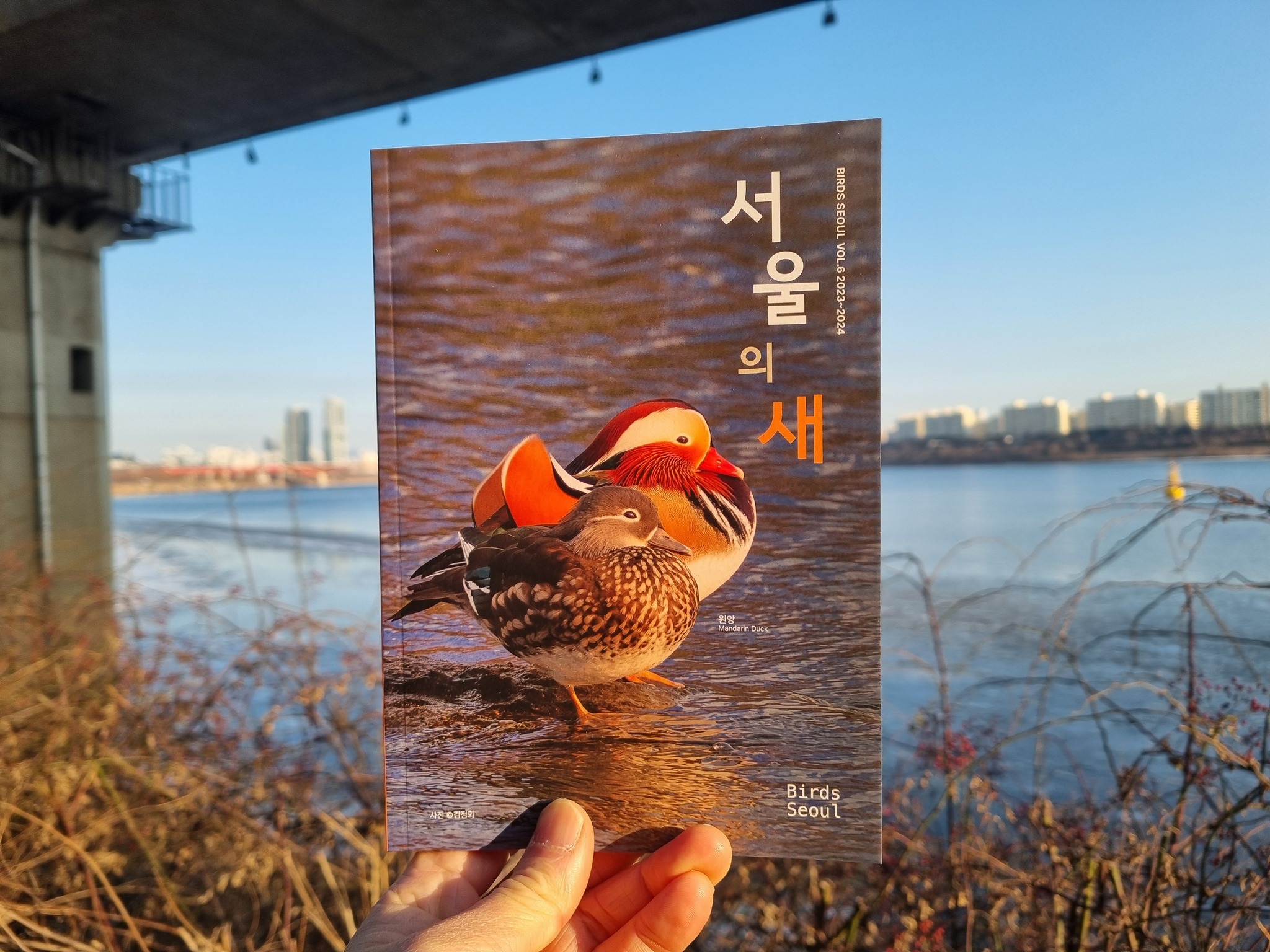 네이처링 naturing 자연을 읽다 × 세상을... - 네이처링 naturing 자연을 읽다 × 세상을 잇다