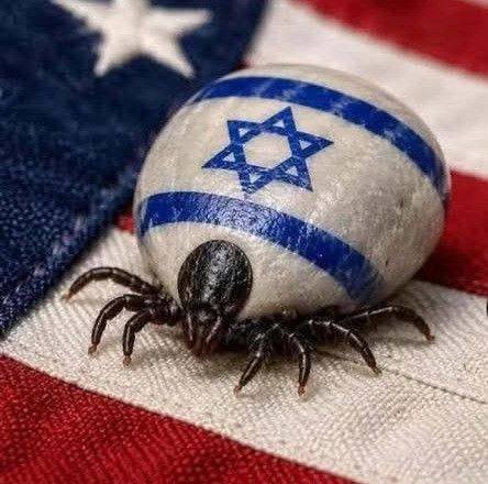Israel is the problem. People of the world must choose between peace ...