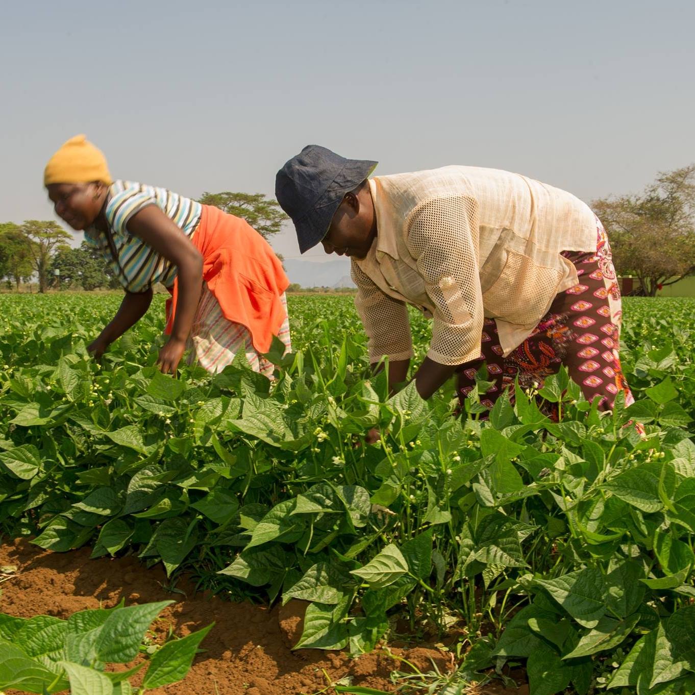 Commission On Restitution Of Land Rights
