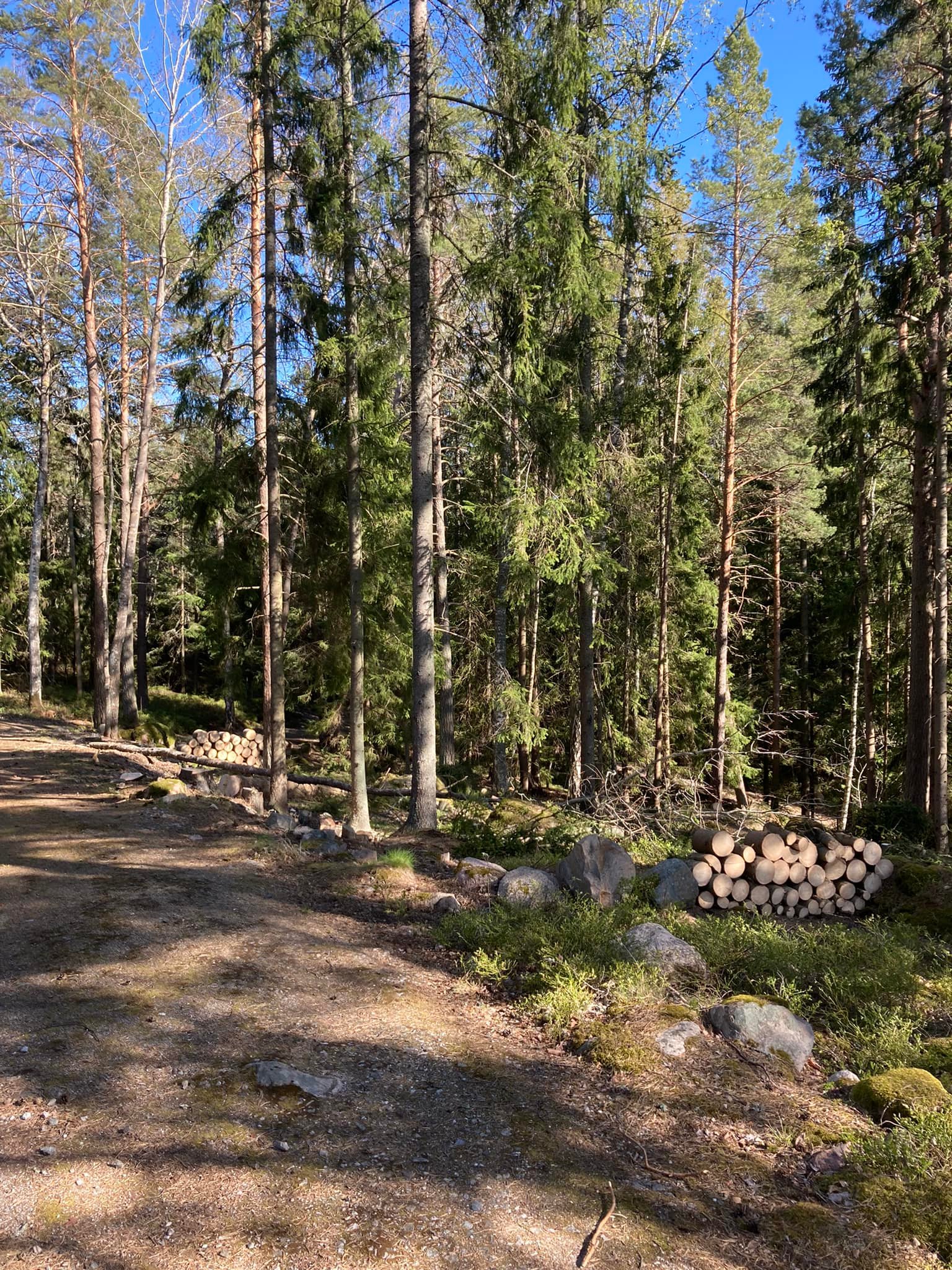 Karin Pika-Apu | Piikkiö
