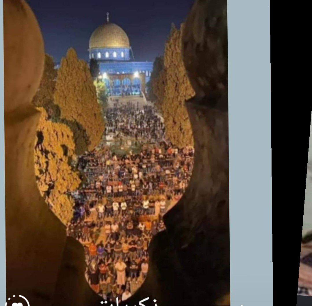 Ahmad Abo Hashm