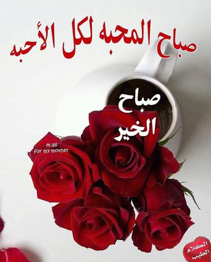 حارة شامية صباح الخير صباحكم رائع كروعة المطر فيسبوك