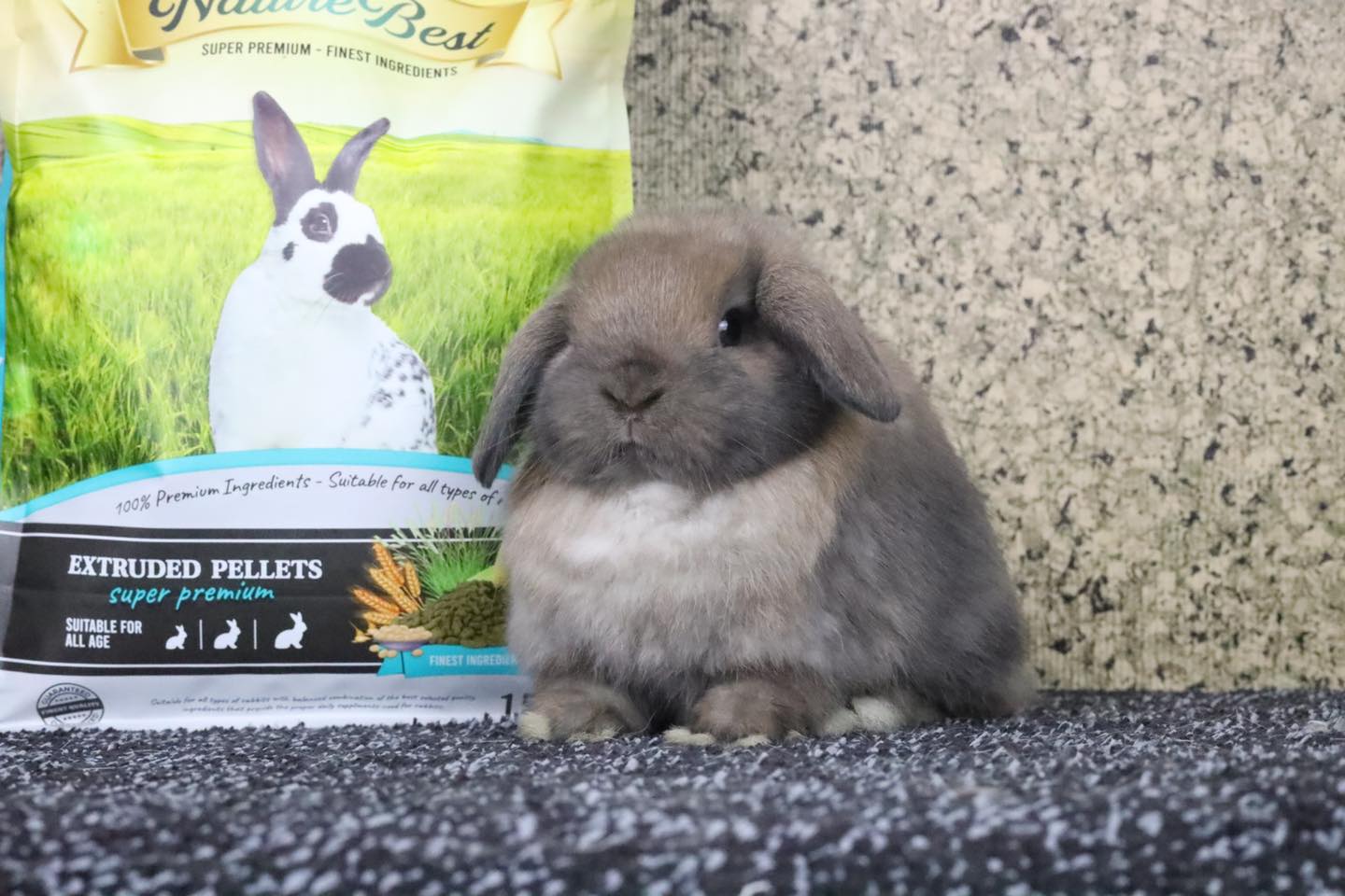 ((Nature Best ::... - BunnyBest.Official | Facebook