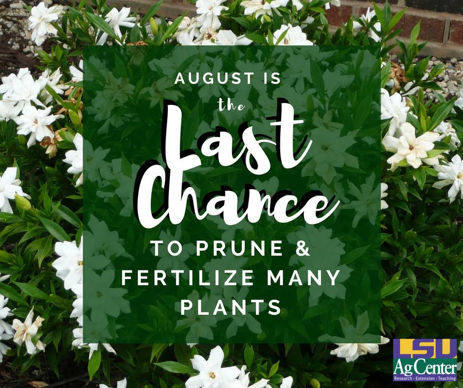 LSU AgCenter - August is a month when gardeners should... | Facebook