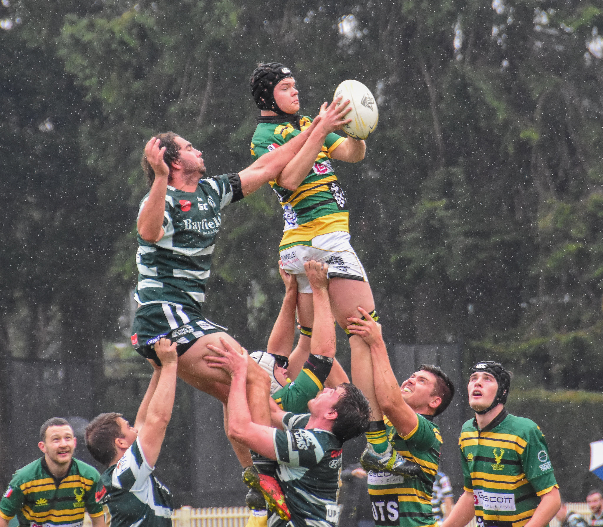 Gordon Rugby - The... - Gordon Rugby - The Highlanders