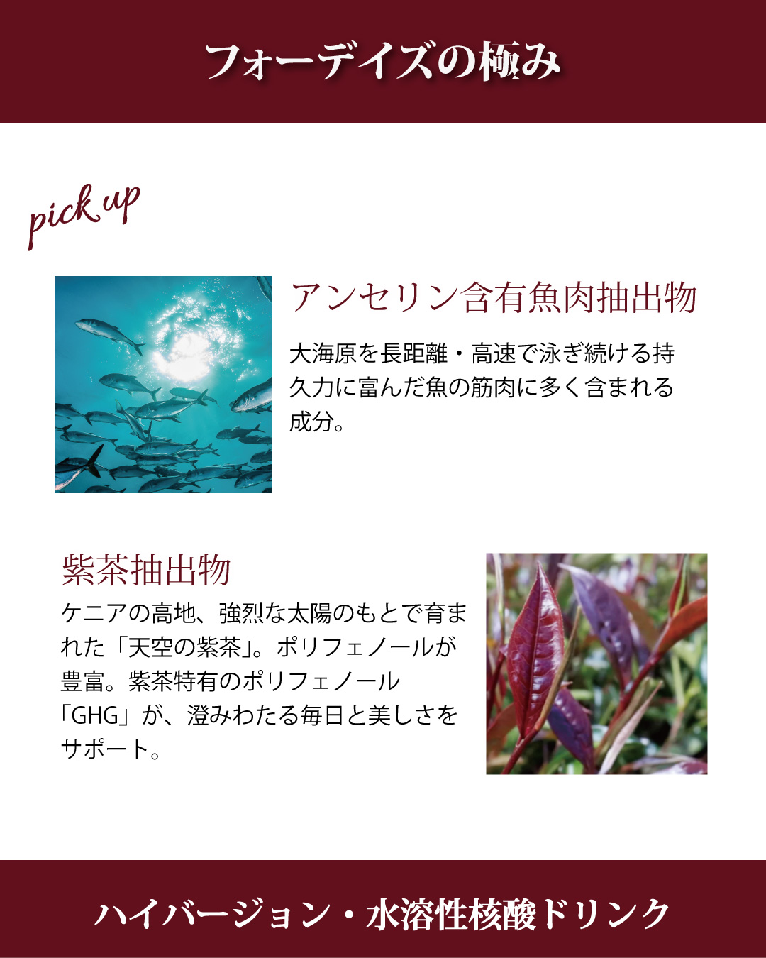植物のチカラを凝縮。 核酸ドリンクのハイバージョン「フォーデイズの