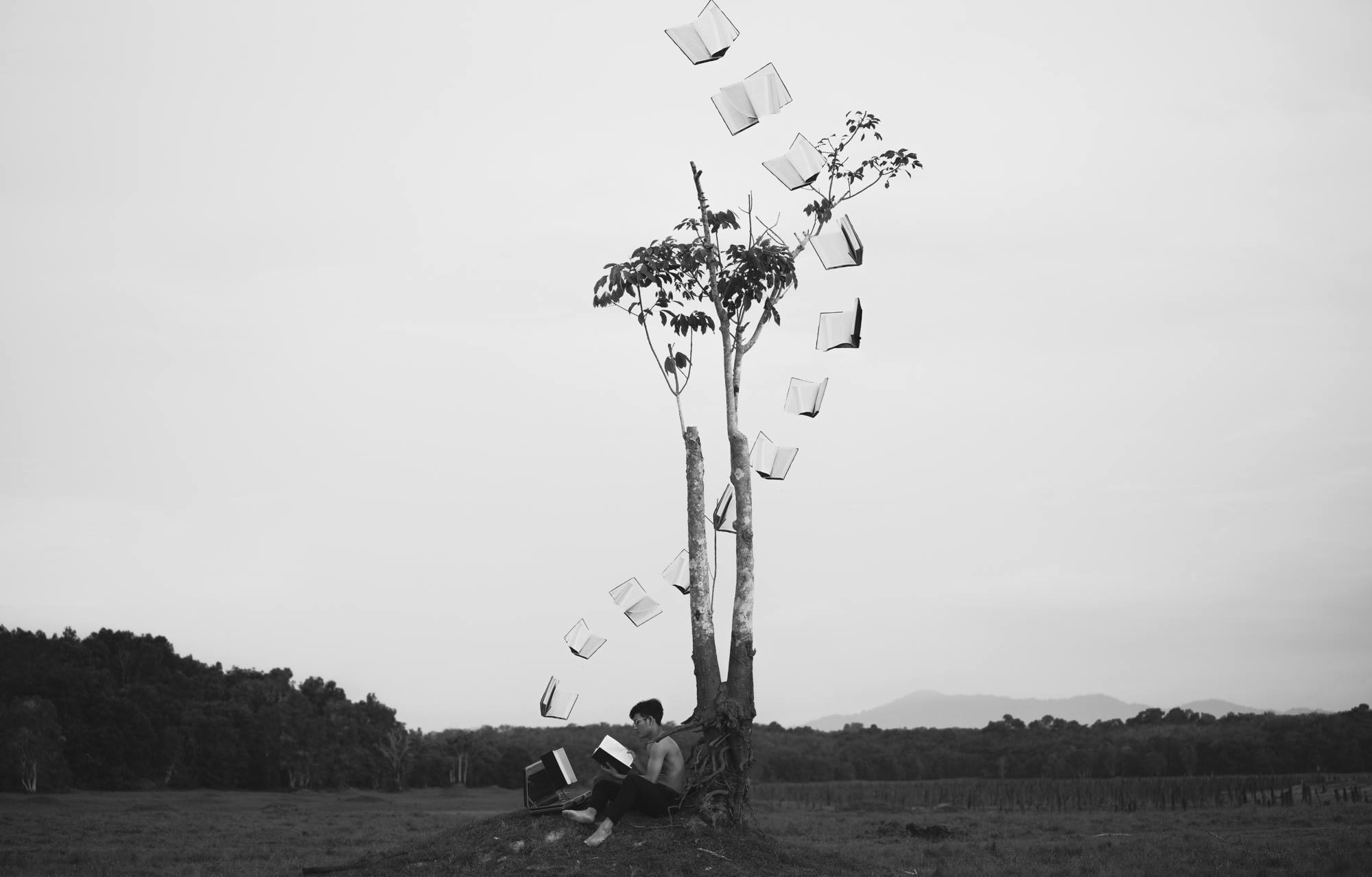 Hasselblad - Hasselblad Masters, Volume 6: Innovate is an artistic 