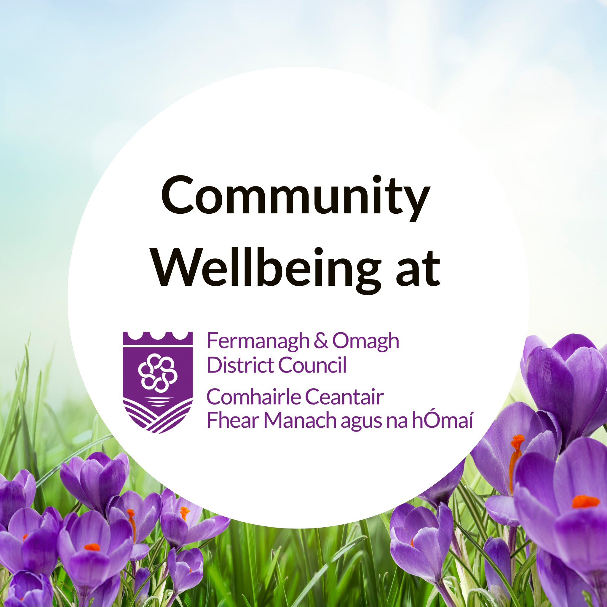 Community Wellbeing at Fermanagh and Omagh District Council