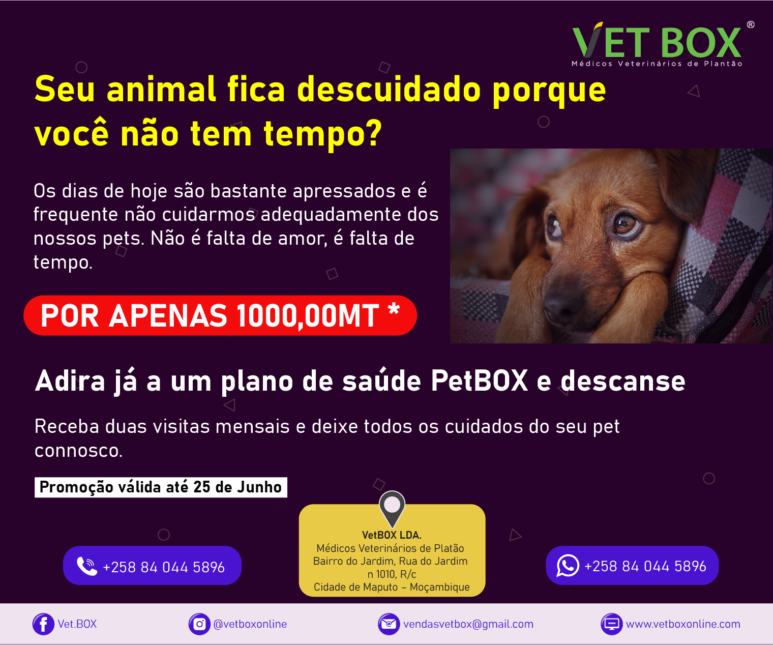 Vet.BOX