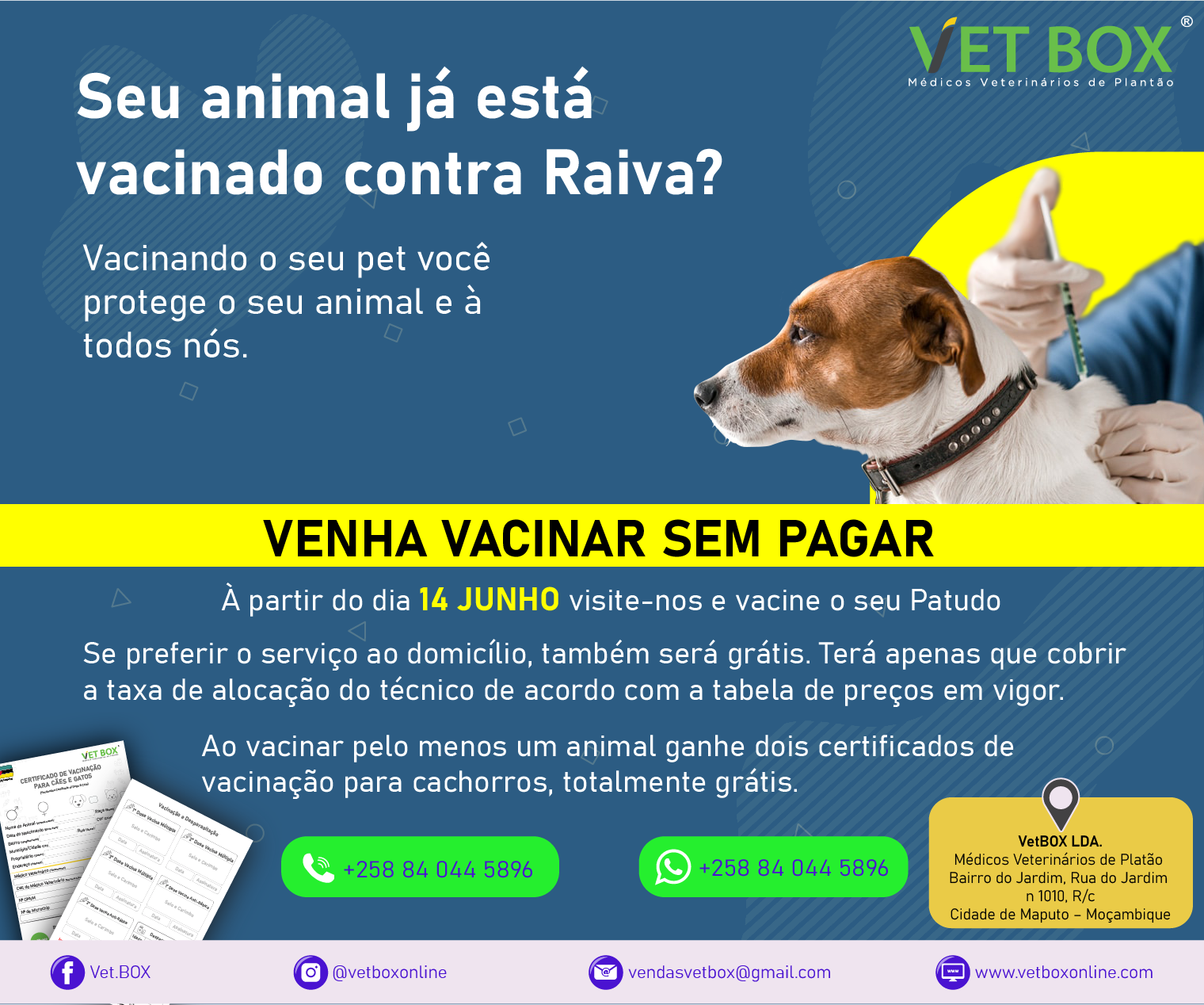 Vet.BOX