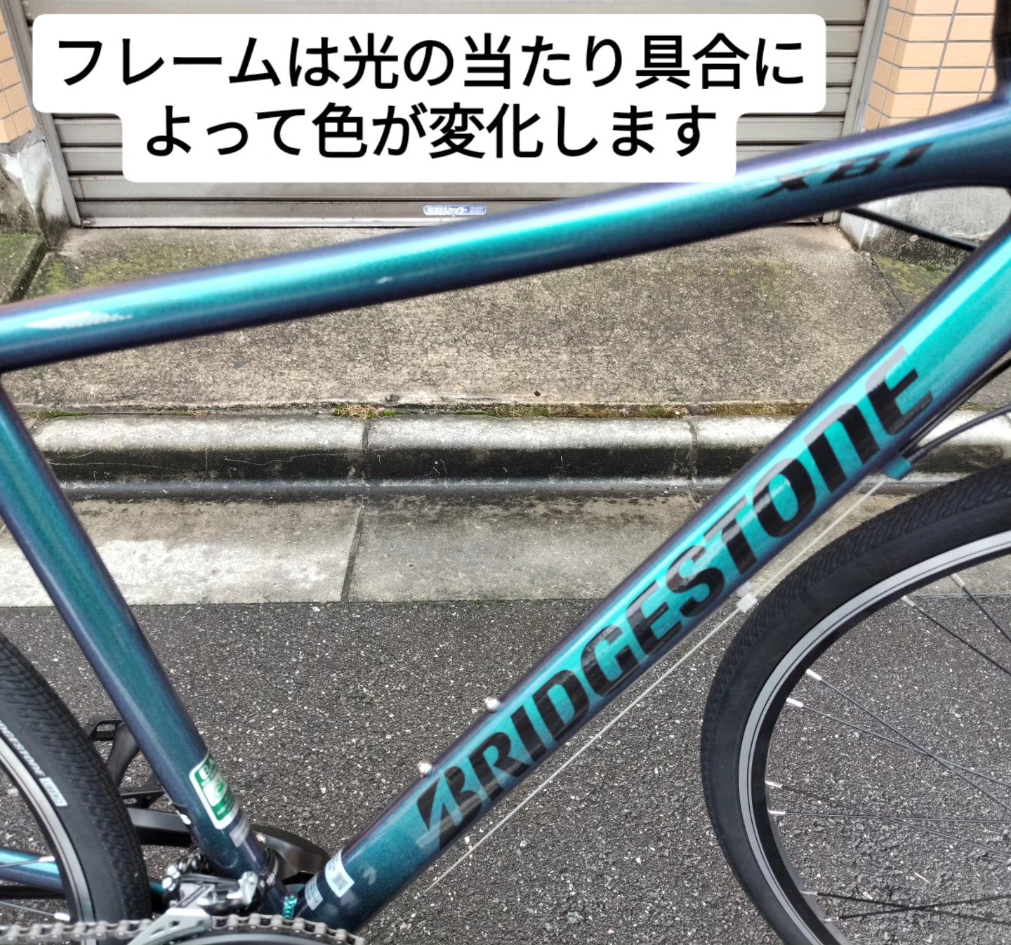 サカモトテクノ「アルマインAT」入荷しました。 カラー：ブラウン