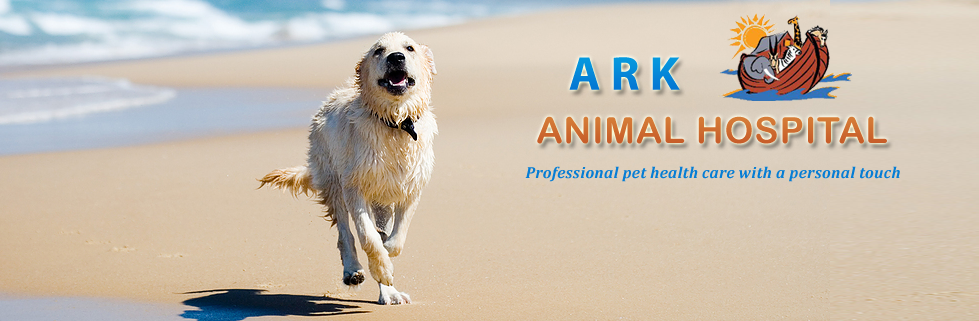 Ark Animal Hospital | Santa Cruz CA