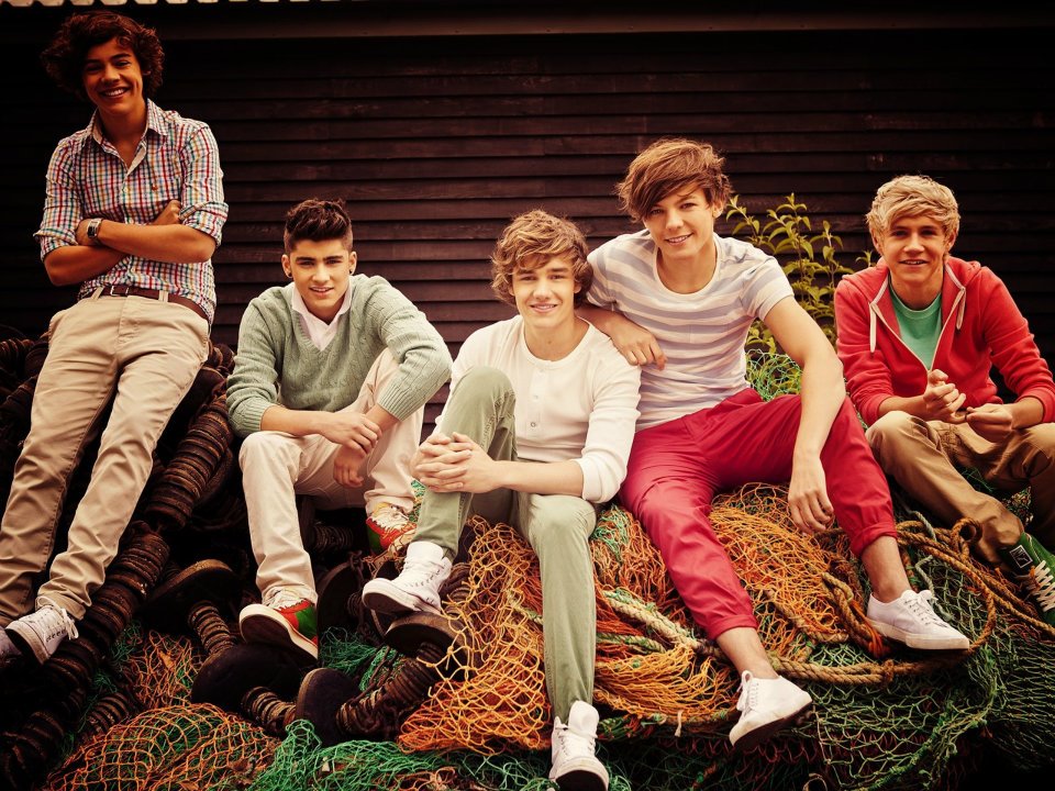 One Direction Infection